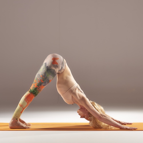 Adho Mukha Svanasana FitYoga Brugge