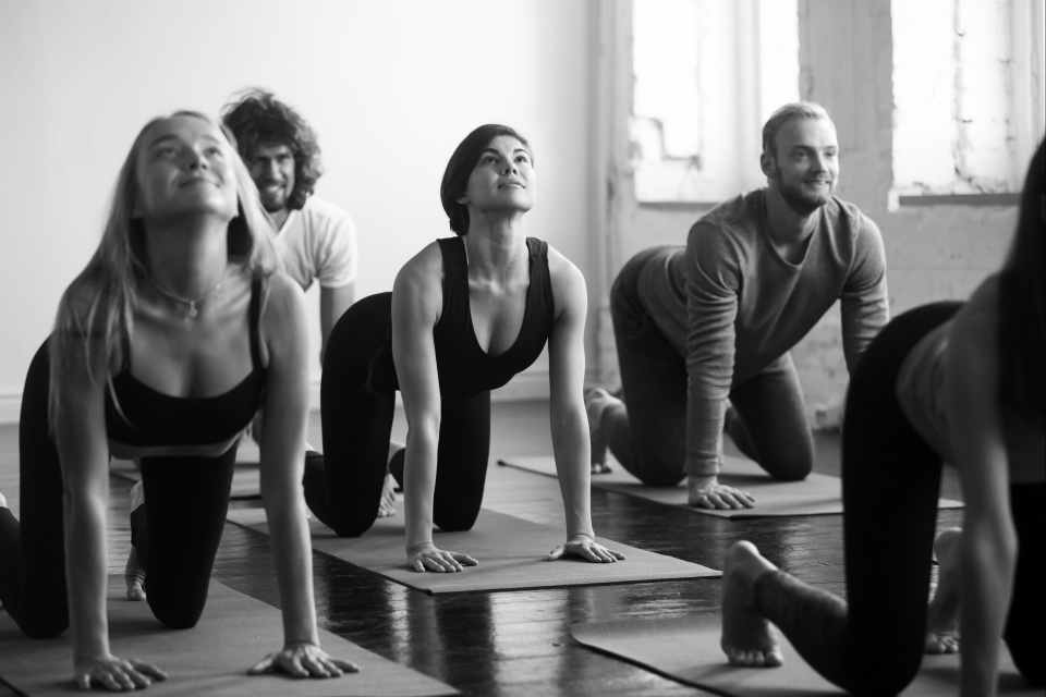 FitYoga Easy Flow